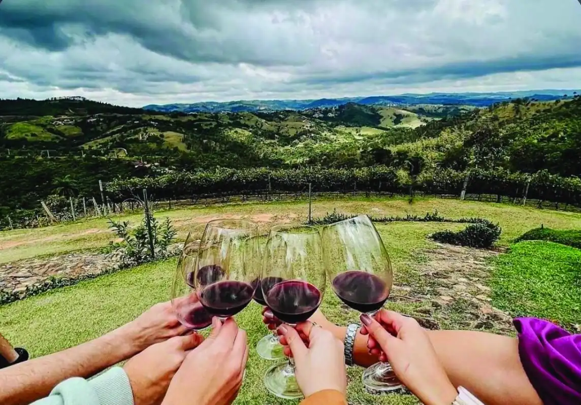 Vinho produzido na região de Amparo